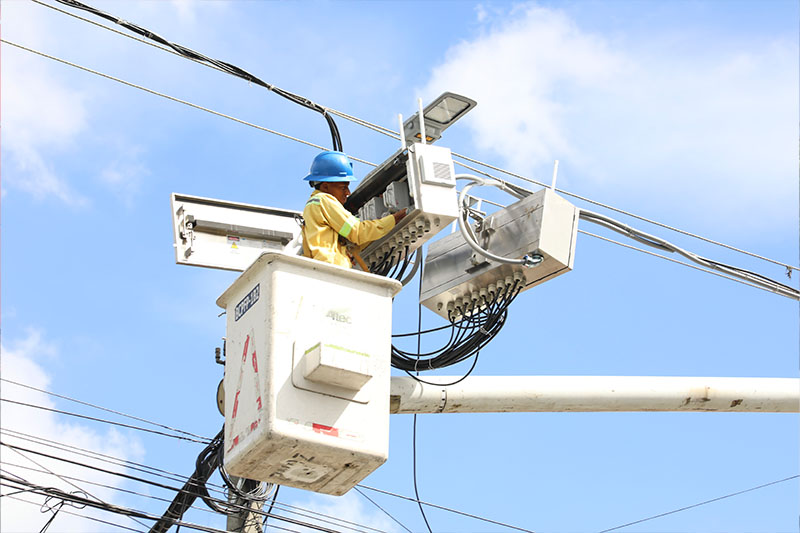 Person Working in Office Setup Person Working in Office Setup